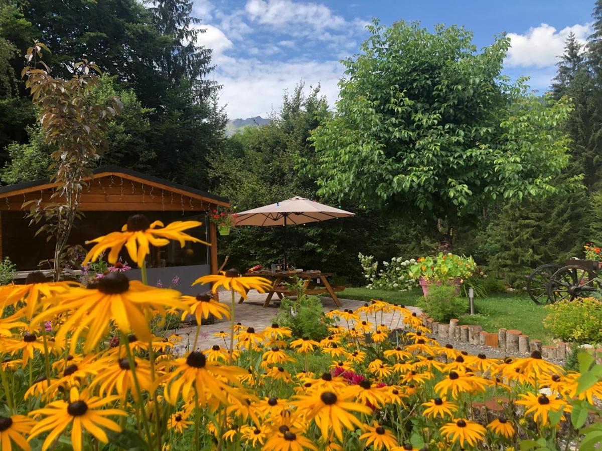 Le Moulin Des Olirics Villa Sallanches Buitenkant foto