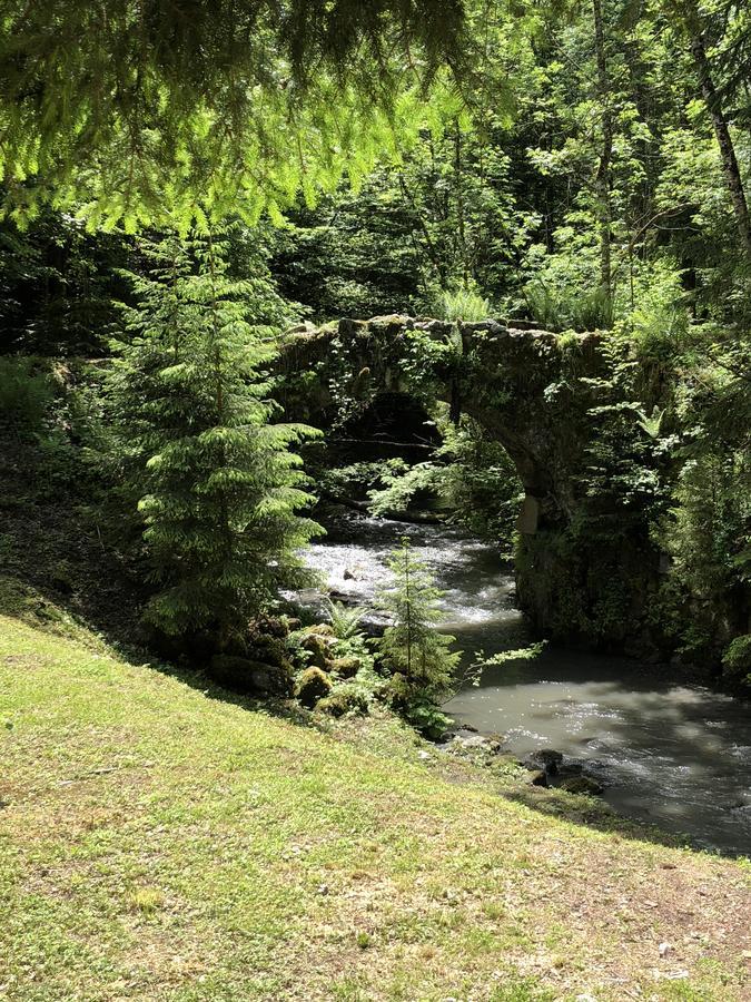Le Moulin Des Olirics Villa Sallanches Buitenkant foto
