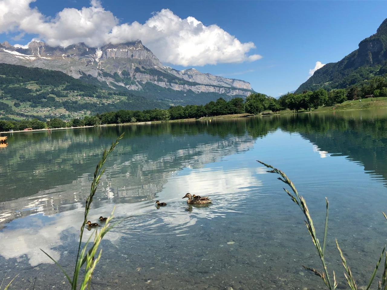 Le Moulin Des Olirics Villa Sallanches Buitenkant foto
