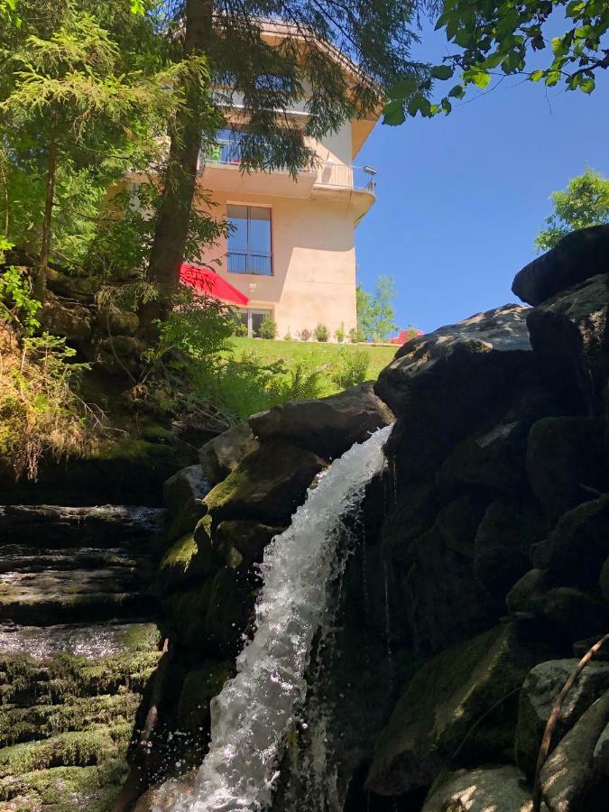 Le Moulin Des Olirics Villa Sallanches Buitenkant foto