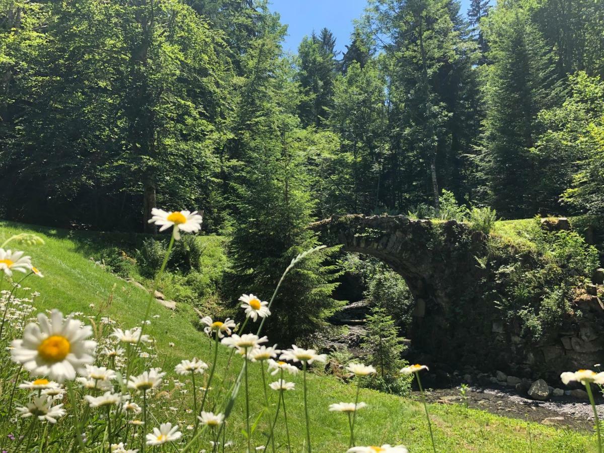 Le Moulin Des Olirics Villa Sallanches Buitenkant foto