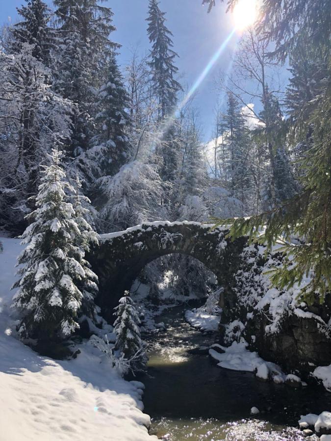 Le Moulin Des Olirics Villa Sallanches Buitenkant foto